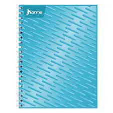 Cuaderno Profesional Do Amer 100h -Norma 