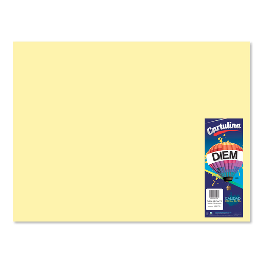 Cartulina Pastel Bristol 48x65cm 